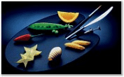 Alimenti