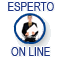 Esperto on line